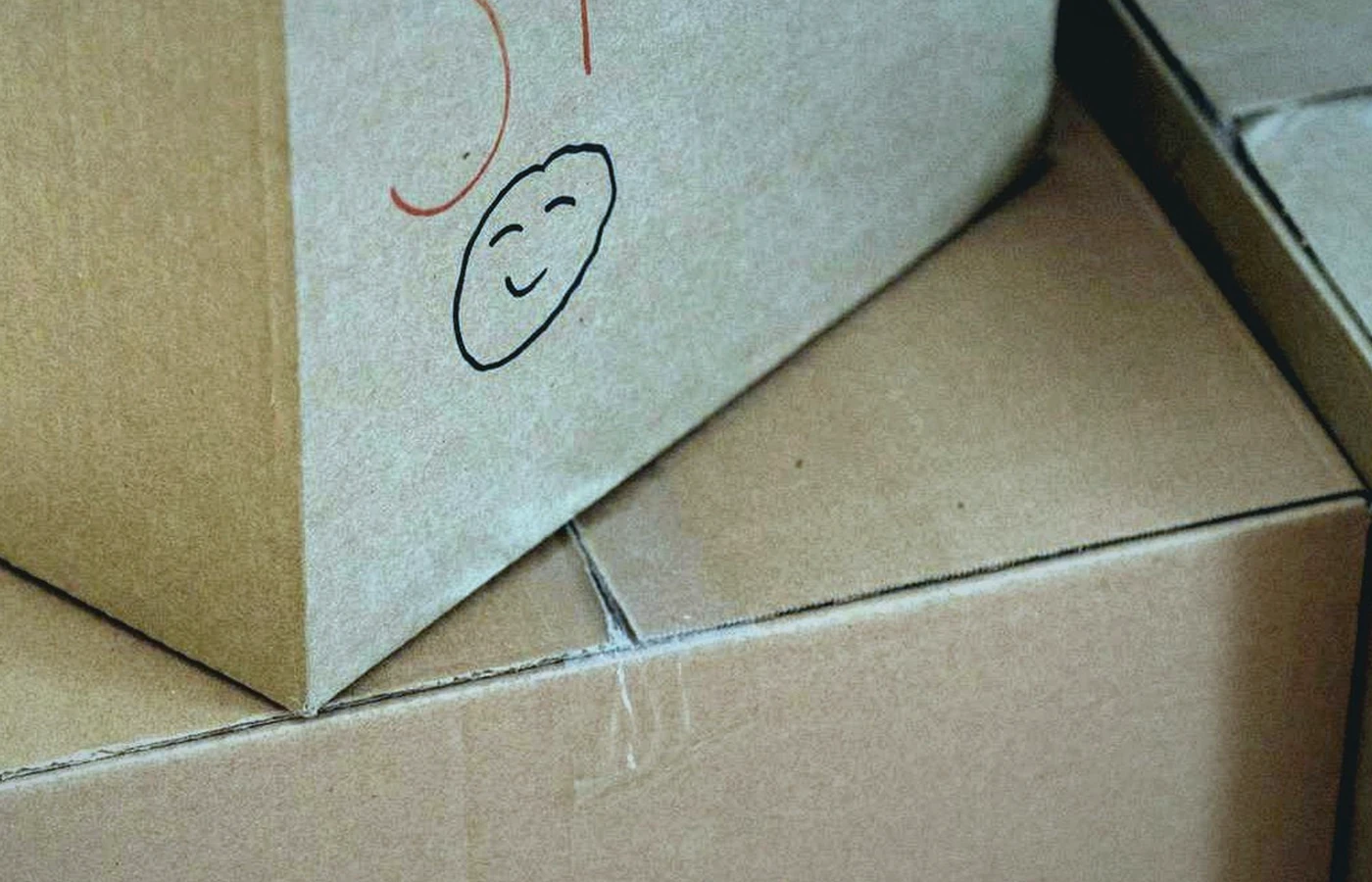 Переезд с детьми в Хайфе: как организовать день без стресса