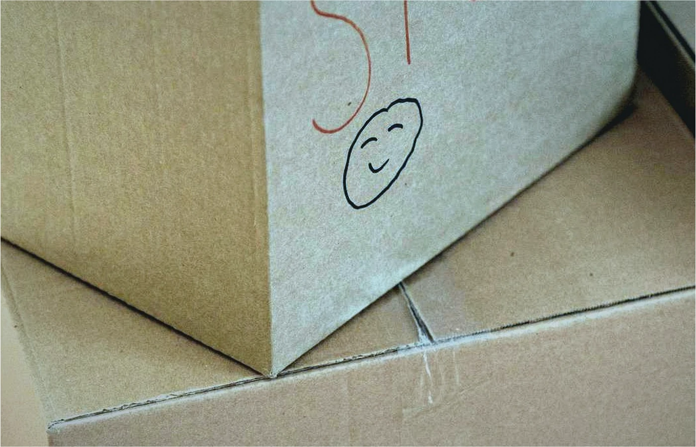 מעבר דירה בישראל: תכנון נכון, אריזה וביצוע מסודר